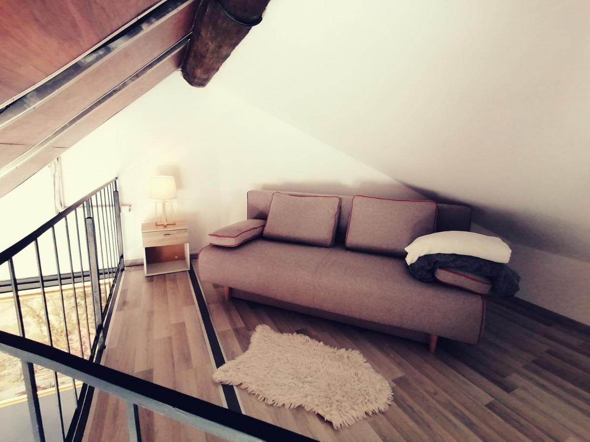 Savoya Nr2 Loft Studio Old City Center Self Check-In Workspace Timisoara Exterior photo