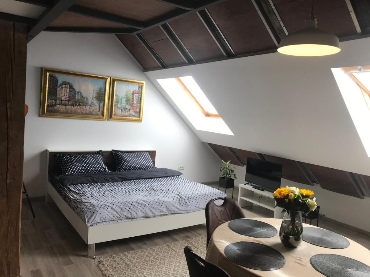 Savoya Nr2 Loft Studio Old City Center Self Check-In Workspace Timisoara Exterior photo