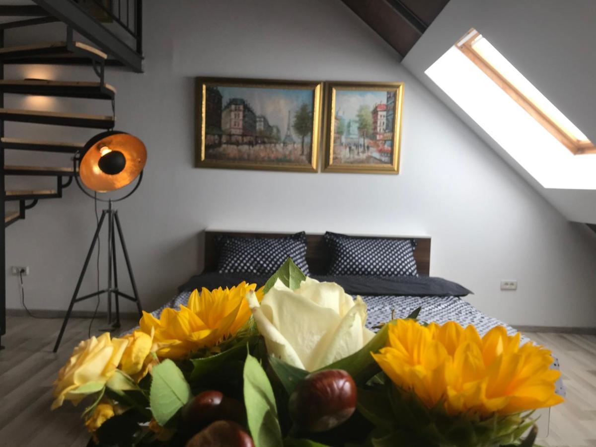 Savoya Nr2 Loft Studio Old City Center Self Check-In Workspace Timisoara Exterior photo